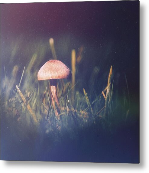 Mushroom Metal Print featuring the photograph Mushroom Night by Jaroslav Buna