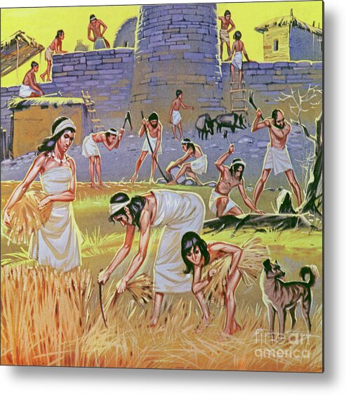 History Metal Print featuring the painting New Stone Age Farmers by Angus McBride