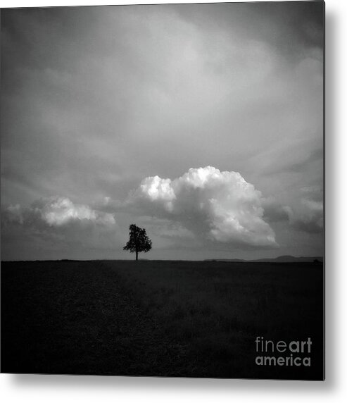 Solitude Metal Print featuring the photograph Wunderbar geborgen by Martina Rall