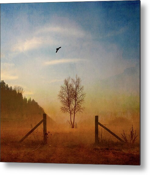 Bird Metal Print featuring the painting Open Space by Philippe Sainte-laudy