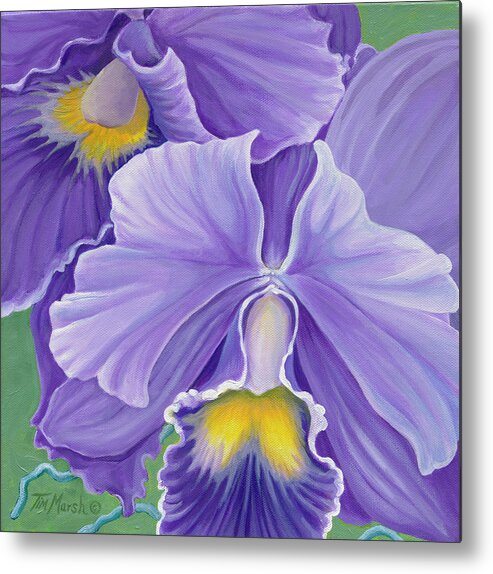 Orchid Series 3 Metal Print featuring the painting Orchid Series 3 by Tim Marsh