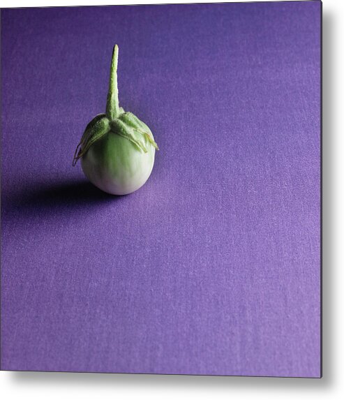 Thai Food Metal Print featuring the photograph Organic Thai Eggplant, Kermit Eggplant by Monica Rodriguez