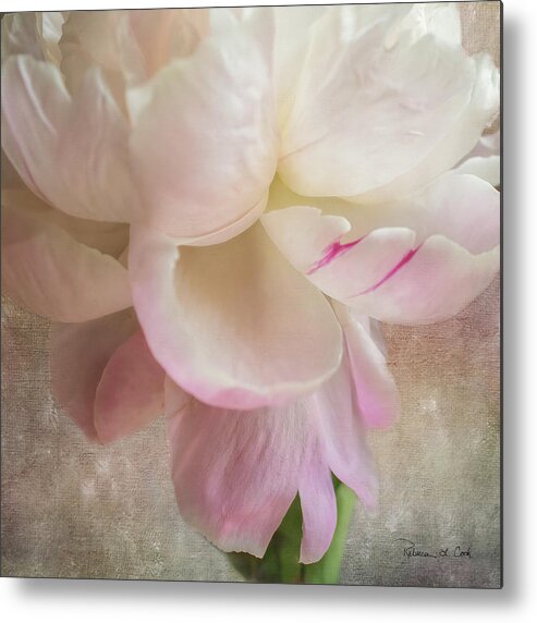 Peony Essence Metal Print featuring the photograph Peony Essence Square Image by Bellesouth Studio