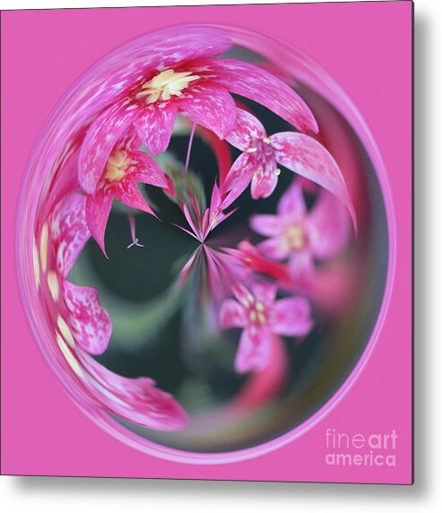 Orb Metal Print featuring the photograph Pink flower orb by Phillip Rubino