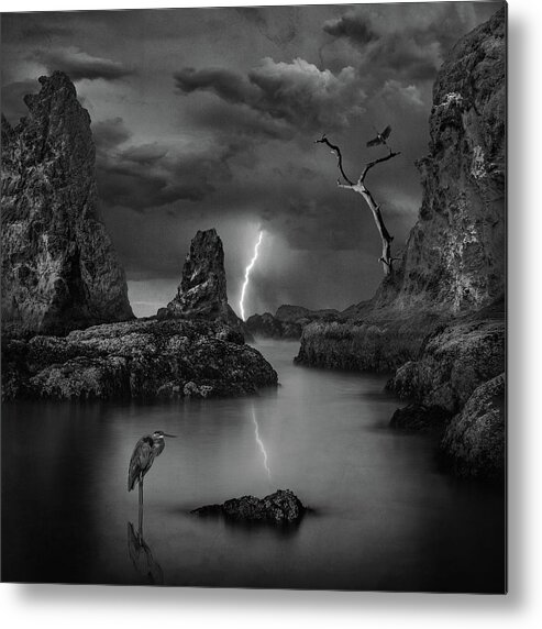 Pnw Metal Print featuring the photograph Prehistoric Time by Steve White