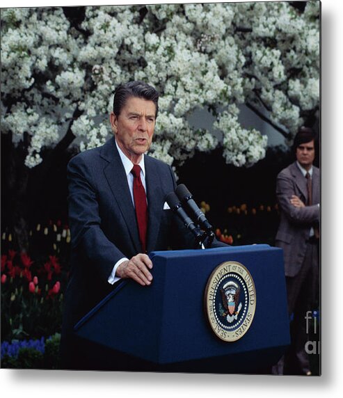 1980-1989 Metal Print featuring the photograph Ronald Reagan Speaking In The Rose by Bettmann