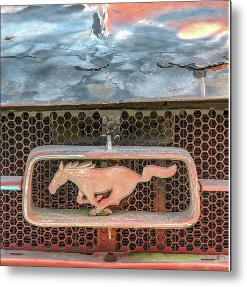 Old Car Metal Print featuring the photograph Running Wild by Minnie Gallman