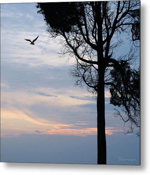 Catawba Metal Print featuring the photograph Seagull Sunset At Catawba by Terri Harper