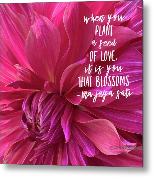 Dahlia Metal Print featuring the photograph Seeds of Love by Jill Love