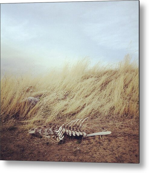 The End Metal Print featuring the photograph Skeleton by Kevin Russ