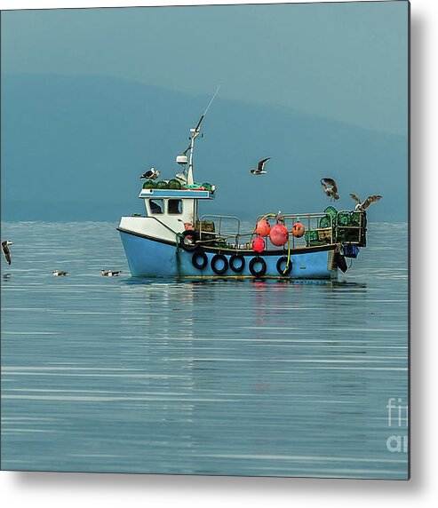 Animal Metal Print featuring the photograph Small Fishing Boat With Lobster Pods And Seagulls On Calm Atlantic In Front Of The Hebride Islands by Andreas Berthold