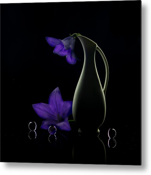 Flowers Metal Print featuring the photograph Summer Night by Wendy Xu