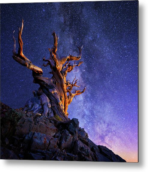 Galaxy Metal Print featuring the photograph The Ancient Tree by Surjanto Suradji