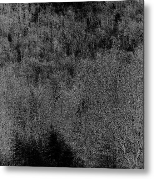 The Hillside Metal Print featuring the photograph The Hillside by David Patterson