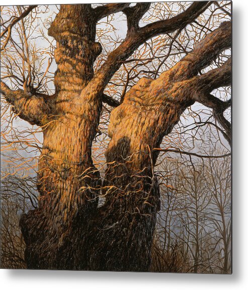 Hans Egil Saele Metal Print featuring the painting The Old Oak by Hans Egil Saele