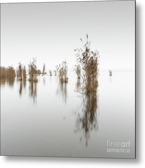 Art Metal Print featuring the photograph Thy Eternal Light, Schwielowsee, Germany by Ronny Behnert