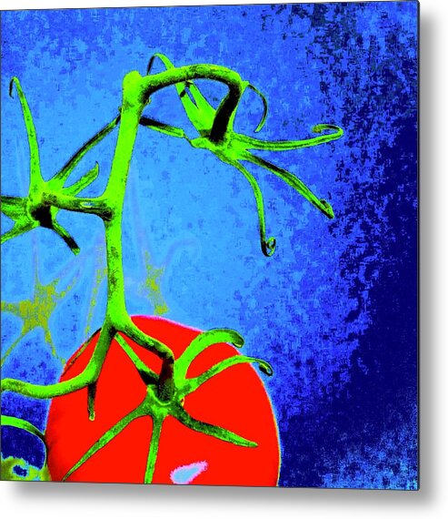 Photo Stream Metal Print featuring the photograph Tomato Red by Debra Grace Addison