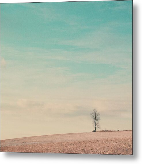 Tranquility Metal Print featuring the photograph Tree On A Hill Top by Laura Ruth
