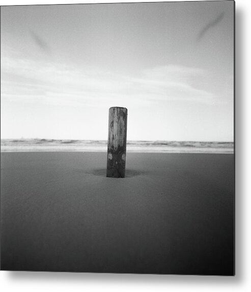Tranquility Metal Print featuring the photograph Trunk On The Beach by Tommaso Tuzj