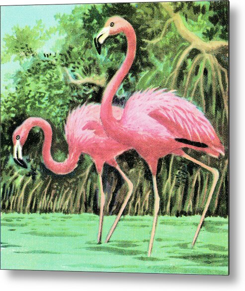 Animal Metal Print featuring the drawing Two flamingos by CSA Images