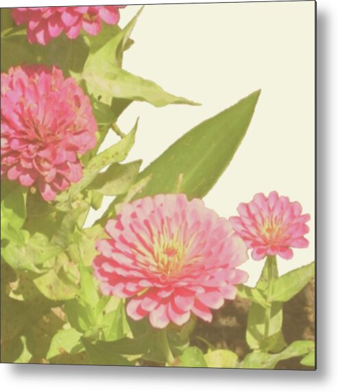 Botanical & Floral Metal Print featuring the painting Vintage Bloom Iv by Megan Meagher