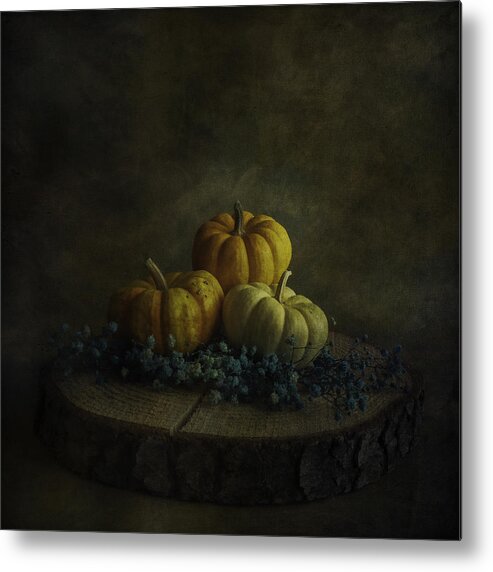 Pumpkin Metal Print featuring the photograph Waiting For Halloween by iek K?ral