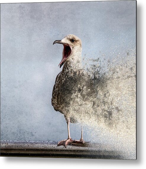 Bird Metal Print featuring the photograph Waterbird by Bruno Flour