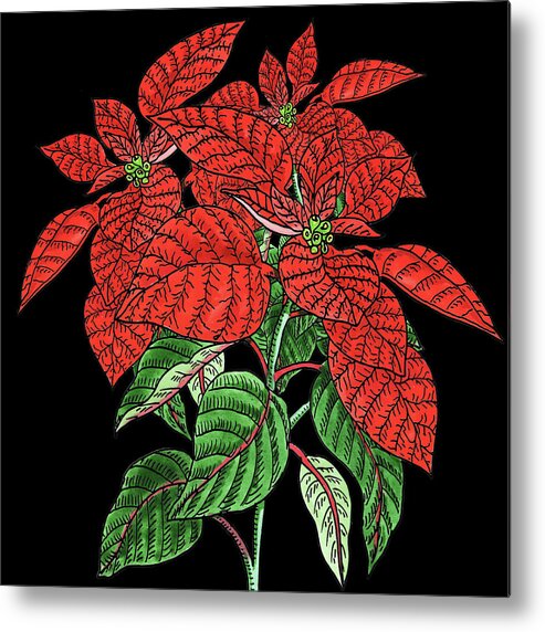 Poinsettia Metal Print featuring the painting Watercolor Flower Red Poinsettia Plant by Irina Sztukowski