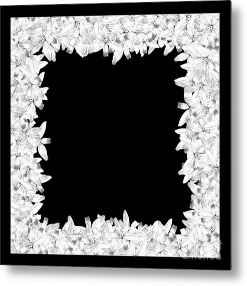  White Metal Print featuring the digital art White Black Lily Flower Frame by Delynn Addams