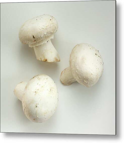 White Background Metal Print featuring the photograph White Mushrooms by David Bishop Inc.