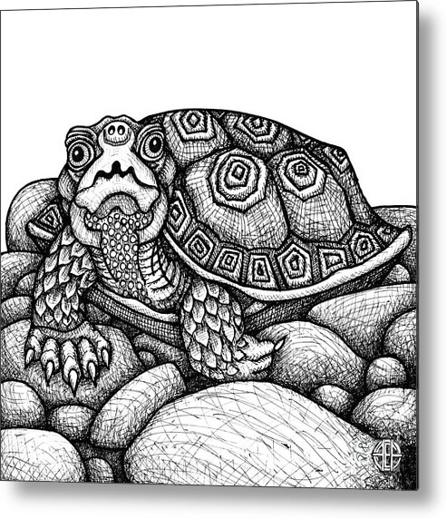 Turtle Metal Print featuring the drawing Wood Turtle by Amy E Fraser