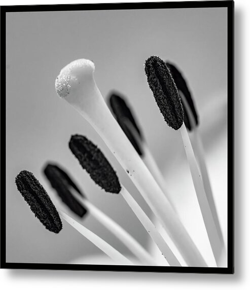 Flower Metal Print featuring the photograph The Center by Cathy Kovarik