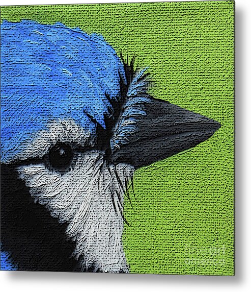 Bird Metal Print featuring the painting 27 Blue Jay by Victoria Page