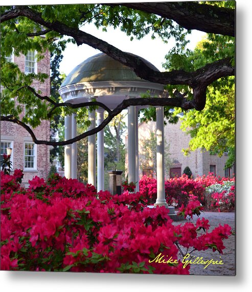 Unc Metal Print featuring the photograph Old Well Azaleas by Michael Gillespie