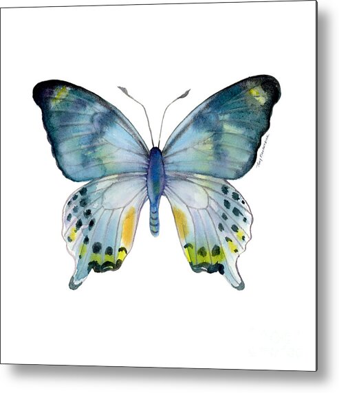 Laglaizei Butterfly Metal Print featuring the painting 68 Laglaizei Butterfly by Amy Kirkpatrick
