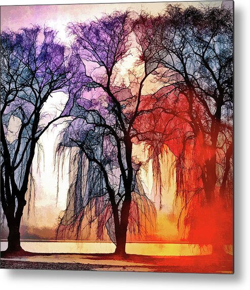 A Song Of Trees Metal Print featuring the photograph A Song of Trees by Susan Maxwell Schmidt