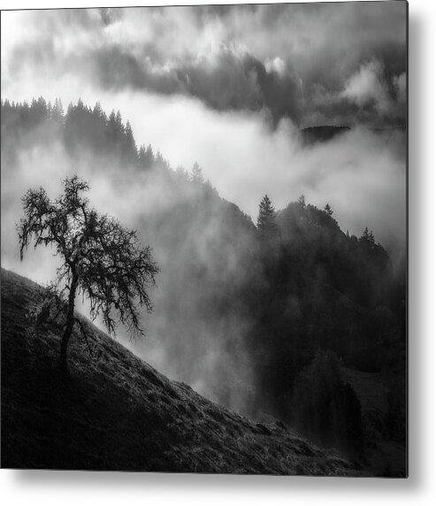 San Geronimo Metal Print featuring the photograph Above San Geronimo, West Marin by Donald Kinney