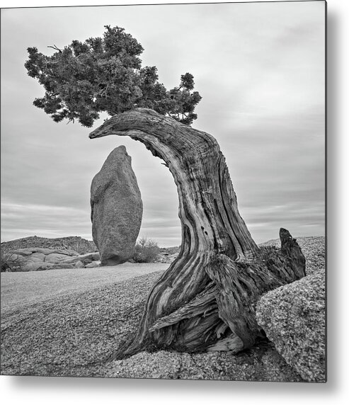 Briot Workshop Metal Print featuring the photograph April 2019 Joshua Tree and Obelisk by Alain Zarinelli