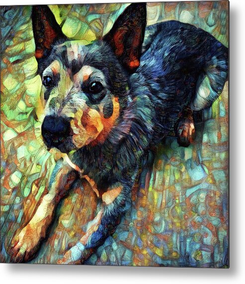 Australian Cattle Dog Metal Print featuring the digital art Australian Cattle Dog - Blue Heeler by Peggy Collins
