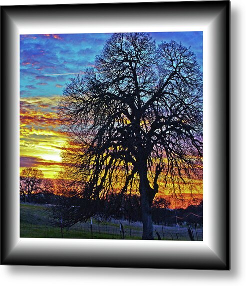 Orange Metal Print featuring the photograph Back Road Sunset by Richard Risely