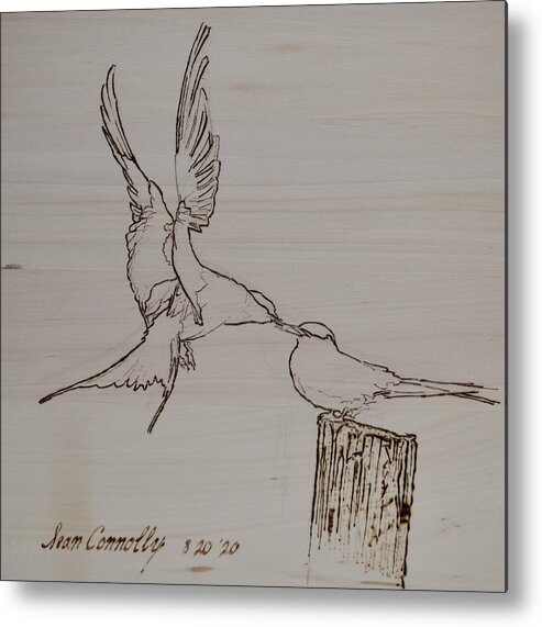 Pyrography Metal Print featuring the pyrography Barn Swallows - Feeding The Fledgling by Sean Connolly