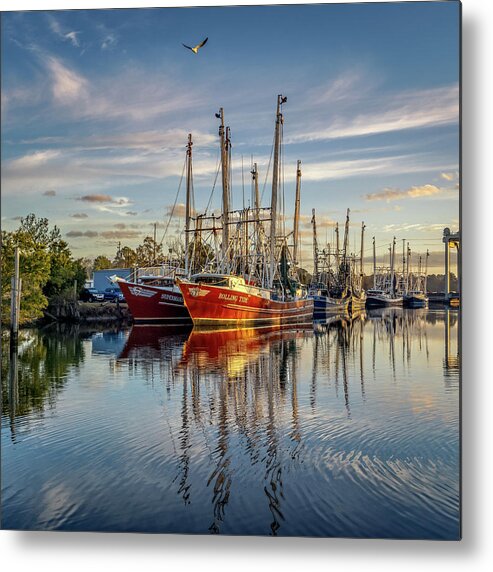 Bayou Metal Print featuring the photograph Bayou Morning 2, 12/23/20 by Brad Boland