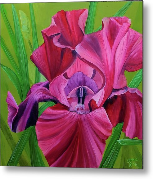 Red Iris Metal Print featuring the painting Beautiful Bordeaux by Connie Rish