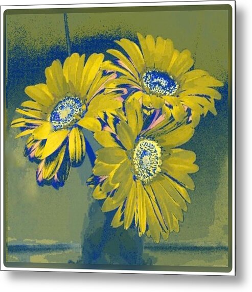 Daisy Metal Print featuring the photograph Because I am happy by Nicole March