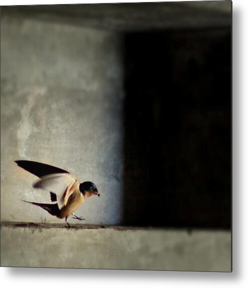 Bird Metal Print featuring the photograph Bird 1 by Carol Jorgensen