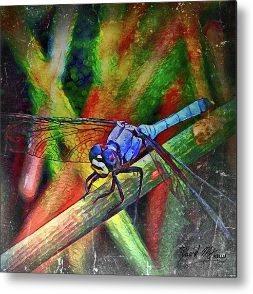 Colorful Metal Print featuring the digital art Blue Dragonfly by David McKinney