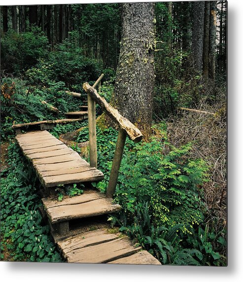 Landscape Metal Print featuring the photograph Boardwalk trail through Pacific Northwest forest by Zeb Andrews
