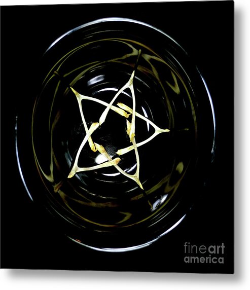 Wishbones Metal Print featuring the photograph Bowl of Five Wishes by Pete Klinger