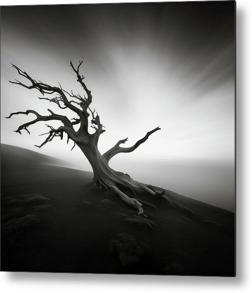 Black And White Metal Print featuring the digital art Bristlecone Pine on Foggy Mountain Slope by YoPedro