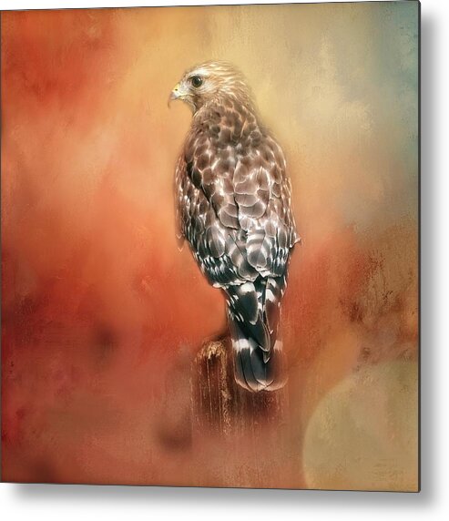 Wildlife Metal Print featuring the photograph Brown Shouldered Hawk by Marjorie Whitley
